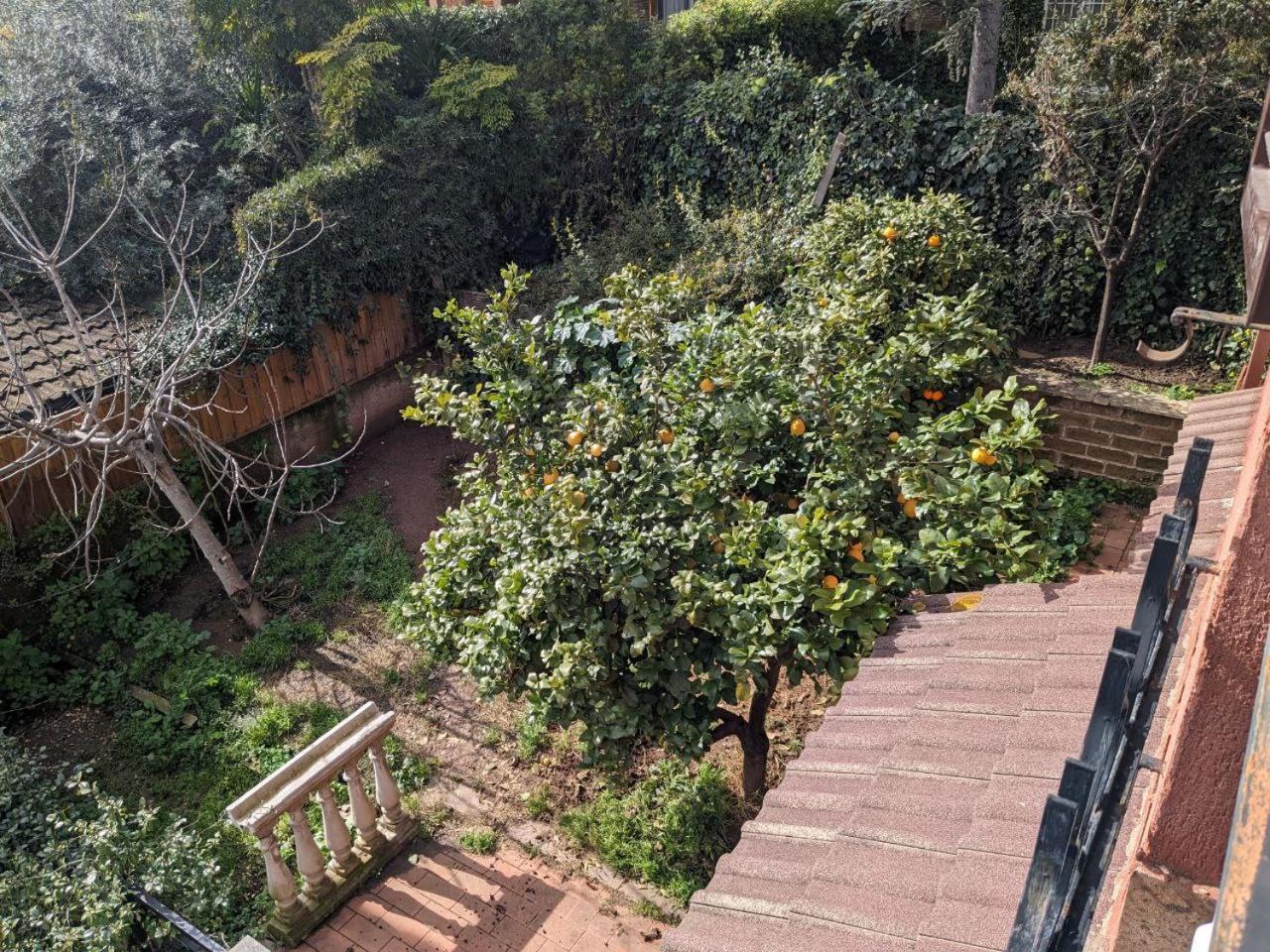 Homestay Villino Felix